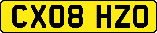 CX08HZO
