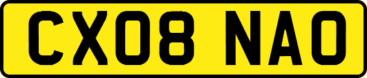 CX08NAO