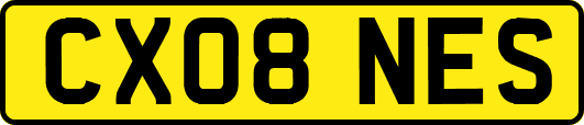 CX08NES