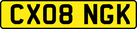 CX08NGK