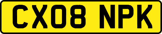 CX08NPK