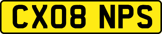 CX08NPS