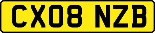 CX08NZB