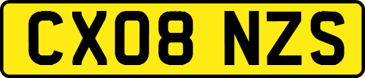 CX08NZS