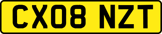 CX08NZT