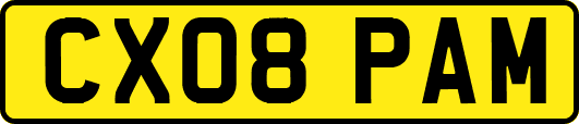 CX08PAM