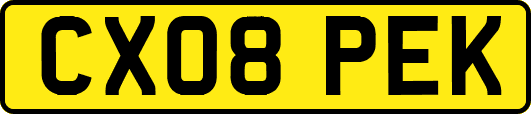 CX08PEK