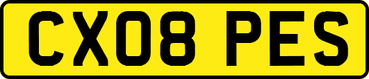 CX08PES