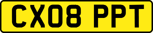 CX08PPT