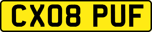 CX08PUF