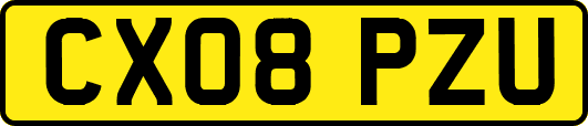 CX08PZU