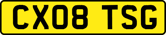 CX08TSG