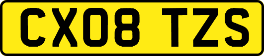 CX08TZS