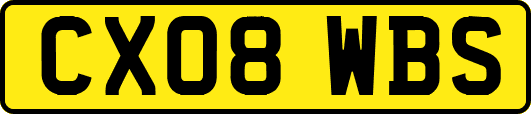 CX08WBS
