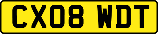 CX08WDT
