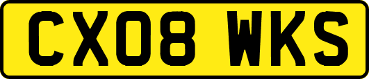 CX08WKS
