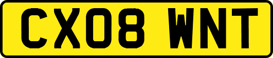 CX08WNT