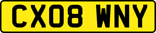 CX08WNY