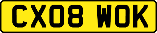 CX08WOK