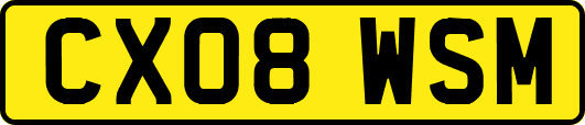 CX08WSM