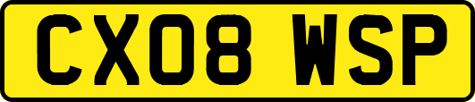 CX08WSP