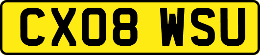 CX08WSU