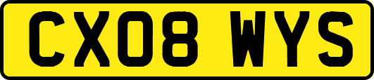 CX08WYS