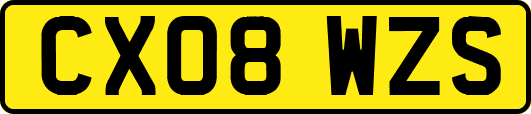 CX08WZS