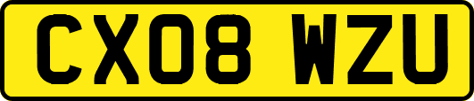 CX08WZU