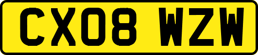 CX08WZW