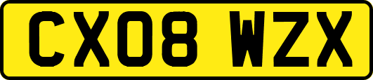 CX08WZX