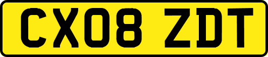 CX08ZDT