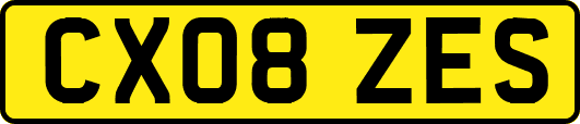 CX08ZES