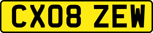 CX08ZEW