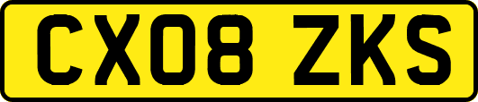 CX08ZKS