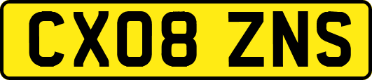 CX08ZNS