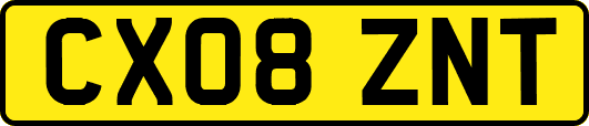 CX08ZNT