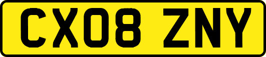 CX08ZNY
