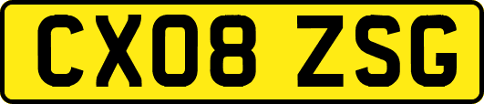 CX08ZSG