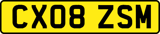 CX08ZSM