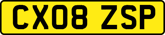 CX08ZSP