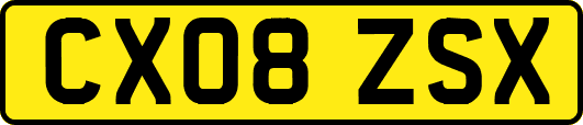 CX08ZSX