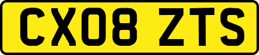 CX08ZTS