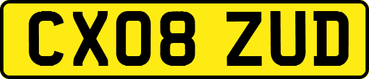 CX08ZUD