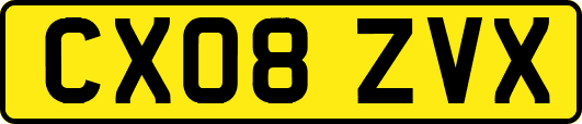 CX08ZVX