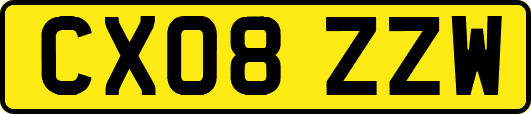 CX08ZZW