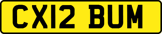 CX12BUM