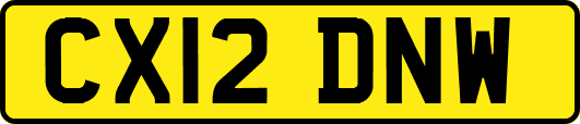 CX12DNW