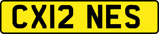 CX12NES