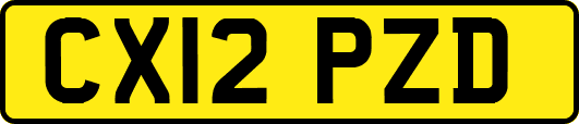 CX12PZD